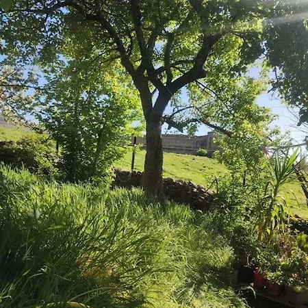 Tiny House En بيت للعطل *