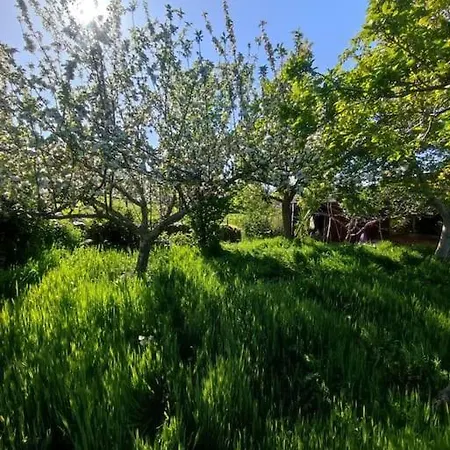 Tiny House En بيت للعطل بيدراهيتا