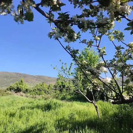 Tiny House En بيدراهيتا